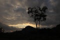 Beautiful natural scenery at sunset behind a hill.