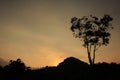 Beautiful natural scenery at sunset behind a hill.