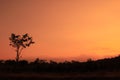 Beautiful natural scenery at sunset behind a hill.