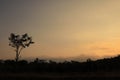 Beautiful natural scenery at sunset behind a hill.