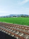 Beautiful natural scenery. what train road in the middle of a green expanse of rice fields.