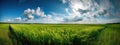 Beautiful natural scenic panorama green field of cut grass into and blue sky with clouds on horizon.