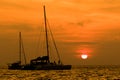 Beautiful natural scenic of sun set behind sailing boat