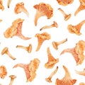 Beautiful natural seamless pattern with watercolor hand drawn forest chanterelle mushroom. Stock illustration.