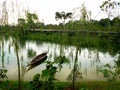 Boat in Singapore Pond