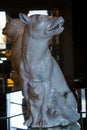 Turin Palazzo Madama porcelain statue of she-wolf who protect puppies Royalty Free Stock Photo