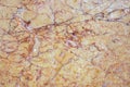 The beautiful natural stone background is beige marble with reddish streaks that look like the circulatory system, called Crema