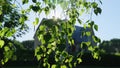 Natural sun light summer morning shine through leaf with house close up Royalty Free Stock Photo