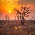 Beautiful natural sunset in a desert landscape