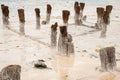 Beautiful natural textural background on a salt lake, river. Salt lake Elton, Russia, before rain and thunder, sunset on the water Royalty Free Stock Photo