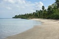 Natural Tropical beach, Samana, Dominican Republic