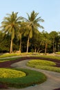 Beautiful natural tropical garden