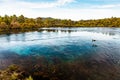 Beautiful natural Waikoropupu  springs. Takaka, New Zealand Royalty Free Stock Photo