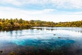 Beautiful natural Waikoropupu  springs. Takaka, New Zealand Royalty Free Stock Photo