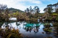 Beautiful natural Waikoropupu  springs. Takaka, New Zealand Royalty Free Stock Photo