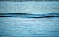 Wake ripples streak across a calm blue water surface