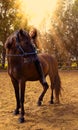 Beautiful and natural young girl spending sometime with her horse. Love and friendship concept Royalty Free Stock Photo