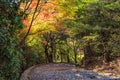 Beautiful nature at Arashiyama in autumn season in Kyoto, Japan.