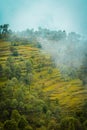 Beautiful Nature Areal Photography, Step faming in Indian mountains of India Uttarakhand Royalty Free Stock Photo