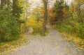 Beautiful Nature Autumn landscape. Scenery view on autumn city park with golden yellow foliage in cloudy day Royalty Free Stock Photo