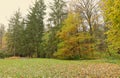 Beautiful Nature Autumn landscape. Scenery view on autumn city park with golden yellow foliage in cloudy day Royalty Free Stock Photo