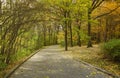 Beautiful Nature Autumn landscape. Scenery view on autumn city park with golden yellow foliage in cloudy day Royalty Free Stock Photo