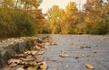 Beautiful Nature Autumn landscape. Scenery view on autumn city park with golden yellow foliage in cloudy day Royalty Free Stock Photo