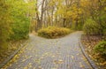 Beautiful Nature Autumn landscape. Scenery view on autumn city park with golden yellow foliage in cloudy day Royalty Free Stock Photo