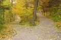 Beautiful Nature Autumn landscape. Scenery view on autumn city park with golden yellow foliage in cloudy day Royalty Free Stock Photo