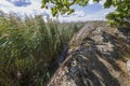 Beautiful nature backgrounds landscape view of huge rock`s and green plants on lake coast. Royalty Free Stock Photo