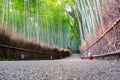 Beautiful nature bamboo groves in autumn season at Arashiyama in Kyoto Royalty Free Stock Photo