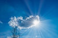 Blue sky with clouds and sun shines and dry tree in the day Royalty Free Stock Photo