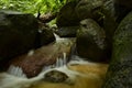 Beautiful in nature, cascading tropical river wet and mossy rock