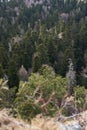 Beautiful nature of Caucasus and fresh air. Beautiful view from top of cliff to green coniferous forest. Pines, firs and firs grow Royalty Free Stock Photo