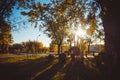 Yellow and green autumn trees on background of the river on a sunny day and blue sky Royalty Free Stock Photo