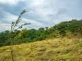 Beautiful nature and cloud sky view on Khao Luang mountain in Ramkhamhaeng National ParkBeautiful Field and cloud sky view on Khao Royalty Free Stock Photo