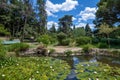 Beautiful nature in Crimea - a pond with water lilies in the park Royalty Free Stock Photo