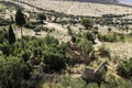 Ruin in the arid and dry nature around La Zubia, Granada, Andalusia, Spain Royalty Free Stock Photo