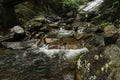 Amazing cascading tropical waterfall. wet and mossy rock, surrounded by green rain forest Royalty Free Stock Photo