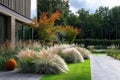 Beautiful nature garden in calssical and modern hitech style