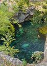 Beautiful nature Grand Cenote in Mexico