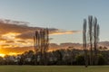 Sunset, sun setting behind trees countryside, grassland Royalty Free Stock Photo