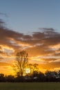 Sunset, sun setting behind trees countryside, grassland Royalty Free Stock Photo