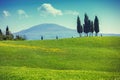 Tuscany landscape in spring. Grassed rolling fields on the hills Royalty Free Stock Photo