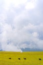 Beautiful nature of Kazakhstan on the Assy plateau. White yurt with grazing animals nearby under the rain clouds.