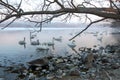 The beautiful nature of Lake Kussharo in winter. Royalty Free Stock Photo