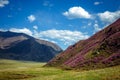 Beautiful nature landscape, amazing mountain view. Magic rhododendron blossoms in the springtime. Location Altai, Russia