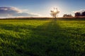 Beautiful nature landscape. Cloudy sunset on green fields Royalty Free Stock Photo