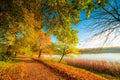 Landscape of fall autumn season, path near lake Royalty Free Stock Photo