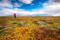 Beautiful nature landscape in autumn